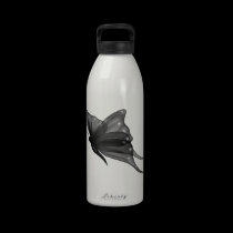papillon de bouteille d'eau bouteilles