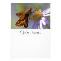 Papillon de capitaine sur la photo d'aster cartons d'invitation personnalisés