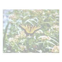Papillon de machaon de tigre bristol