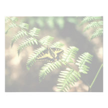 Papillon de machaon faire-parts