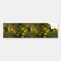 Papillon de Metalmark de Lange Adhésif Pour Voiture