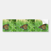 Papillon de monarque autocollants pour voiture