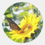 Papillon de monarque sur l'autocollant de tourneso