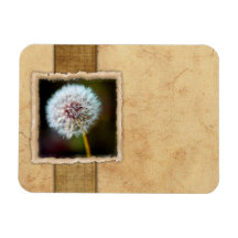 Papillon de monarque vintage magnets rectangulaire