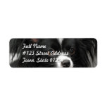 Papillon Dog Mailing Labels