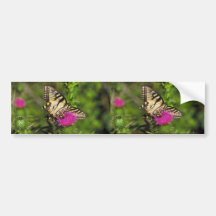 Papillon et abeille de machaon sur le chardon adhésifs pour voiture