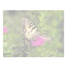 Papillon et abeille de machaon sur le chardon invitations