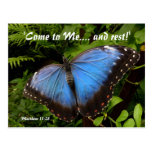 Papillon exotique bleu cartes postales