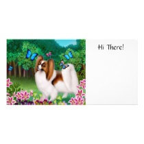 Papillon in Garden Photo Card