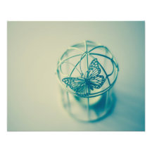 Papillon mis en cage impressions photo