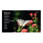 Papillon Modèles De Cartes De Visite