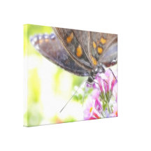 Papillon noir de machaon sur le buddleia Bush Impression Sur Toile