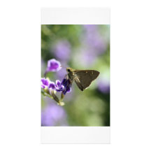 Papillon Photocarte Personnalisée