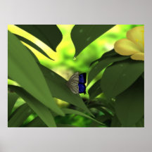 Papillon Posters