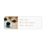 Papillon Puppy Return Address Label