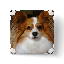 Papillon Square Pin