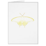 Papillon subtil d'or cartes