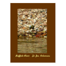 Papillon sur Buffalo Carte Postale