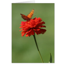 Papillon sur la fleur cartes de vœux