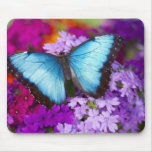 Papillon tropical 7 de Sammamish Washington Tapis De Souris