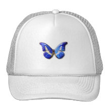 papillons casquettes