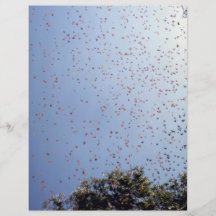 Papillons dans la forêt tropicale, Santa Marta, Co Prospectus En Couleur