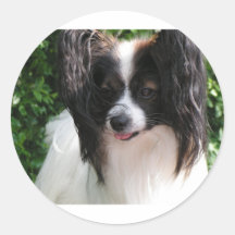 Papillons Runder Sticker