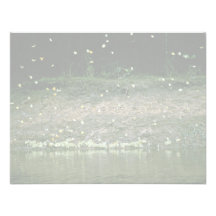 Papillons sur Rio Napo, Equateur Invitations