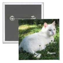 Paqari Cat Button