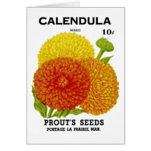 Paquet vintage de graine de Calendula Cartes De Vœux