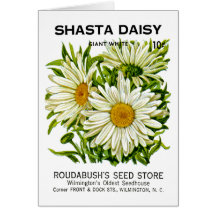 Paquet vintage de graine de marguerite de Shasta Carte