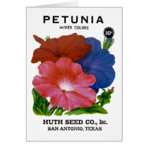 Paquet vintage de graine de pétunia cartes de vœux