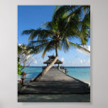 Paradis tropical affiche