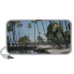 Paradise Doodle Speaker