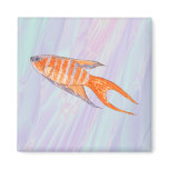 Paradise Fish. Magnets