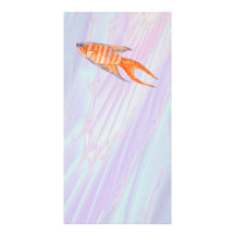 Paradise Fish. Photo Greeting Card