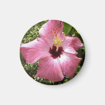 paradise flower fridge magnets
