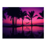 Paradise Island 2 Postcards