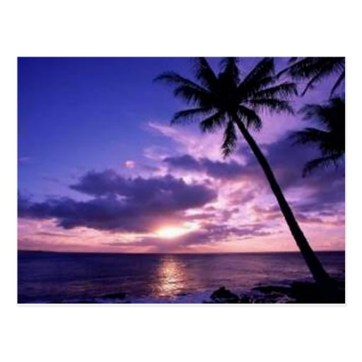 Paradise Island Post Cards