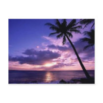 Paradise Island Post Cards