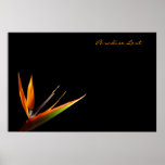 Paradise Lost posters