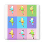 Parakeet Rainbow Rectangles Magnet