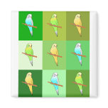 Parakeets and Green Tiles Refrigerator Magnets