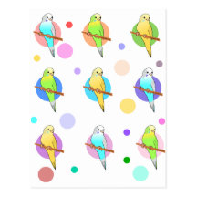 Parakeets & Polka Dots Pattern Postcards