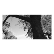Parc de gens du pays de séries cartes avec photo