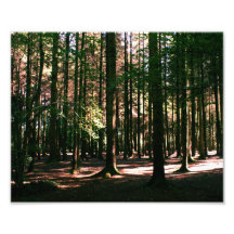 Parc de pays de Stover Impressions Photo