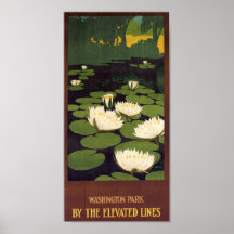 Parc de Washington Poster