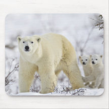 Parc national de Wapusk, Canada Tapis De Souris