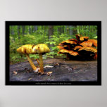 Parc-Nature du Bois de Liesse Print