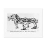Pareiasaurus baini art postcard